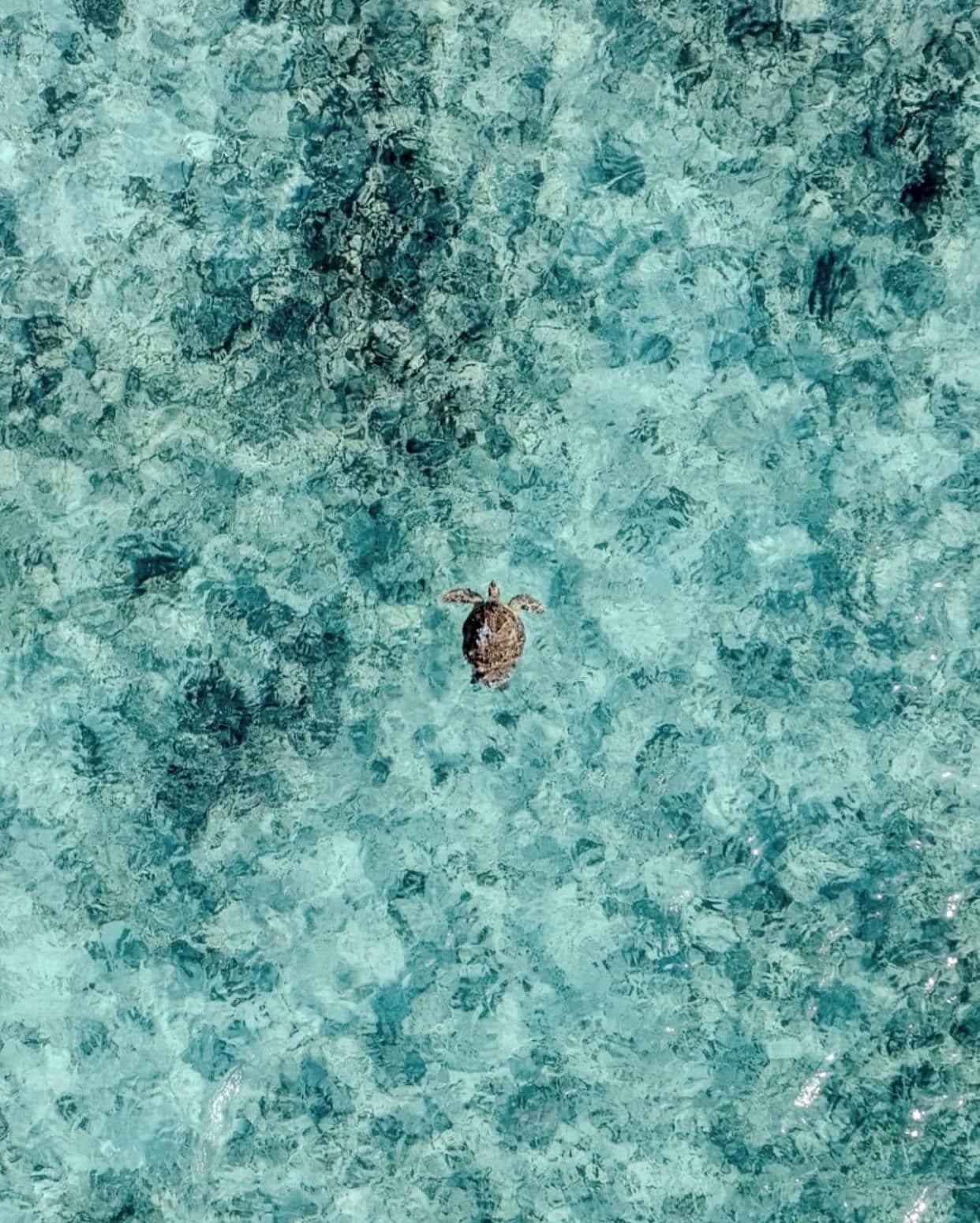 © Le Barthélemy Hotel & Spa – Visuel officiel | Source : Instagram @lebarthelemy