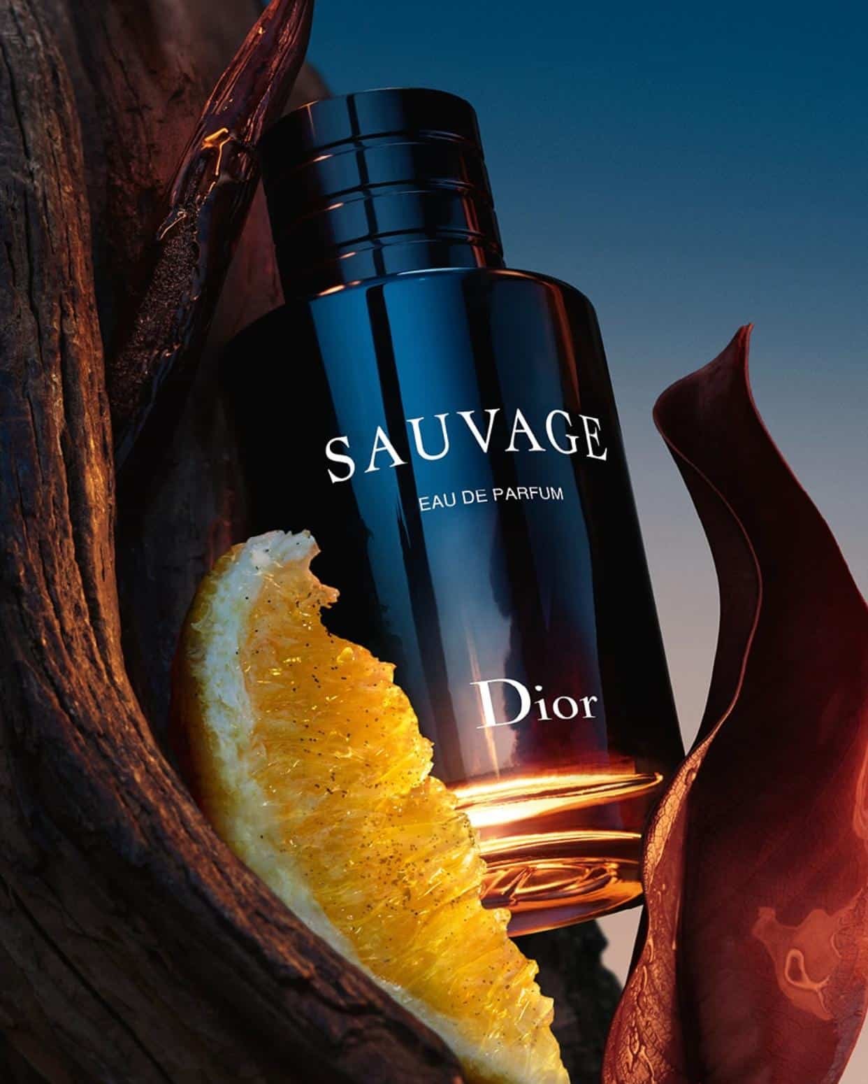 © Dior – Official visual | Source: Instagram @diorbeauty