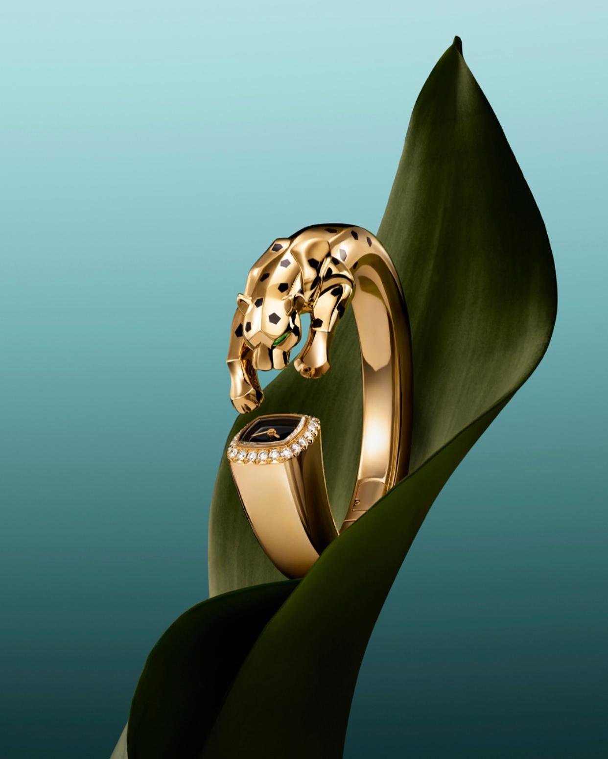 © Cartier – Official visual | Source : Instagram @cartier