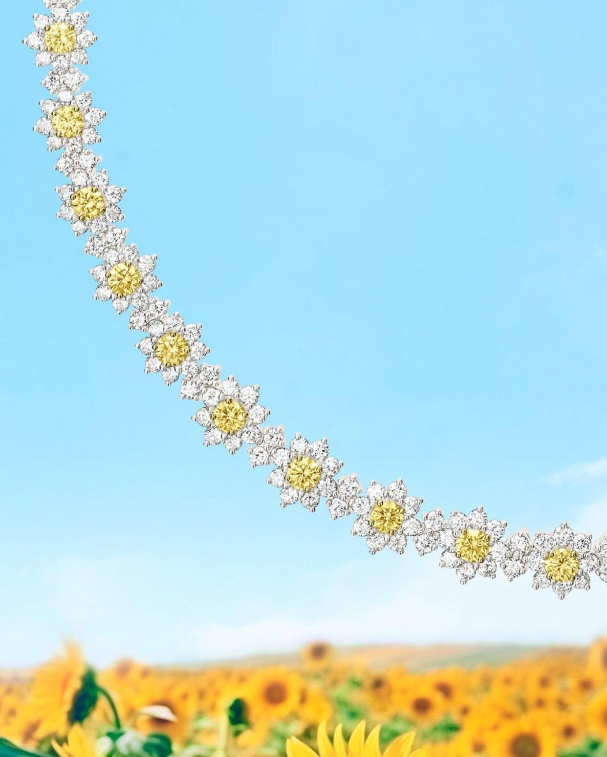 © Harry Winston – Official visual | Source : Instagram @harrywinston