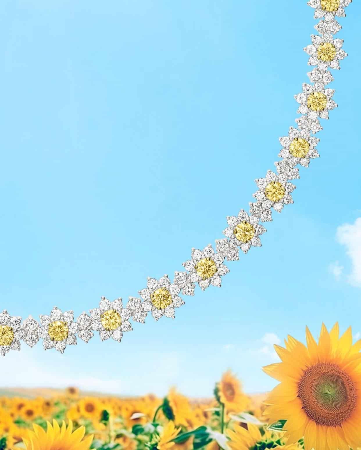 © Harry Winston – Official visual | Source : Instagram @harrywinston