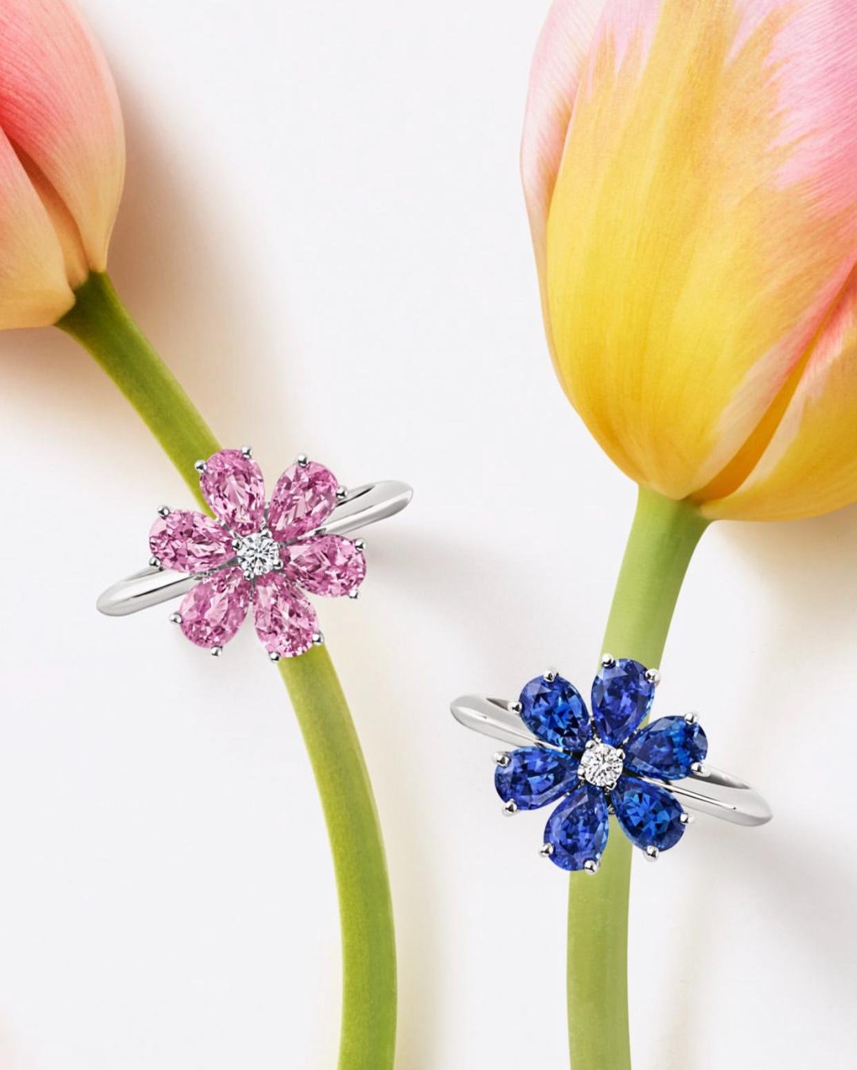 © Harry Winston – Official visual | Source : Instagram @harrywinston